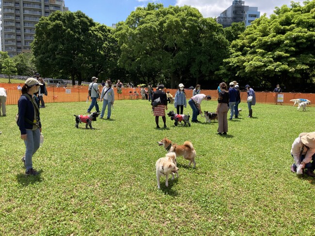 【春の限定】幕張エリアで芝生のドッグラン特設！ 2024年4月20日（土）・21日（日）開催（千葉県立幕張海浜公園）