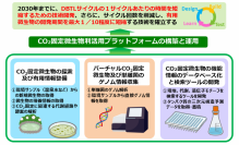 CO2を原料としたバイオものづくりを加速するため「グリーンイノベーションフォーラム（GIフォーラム）」を立ち上げ！