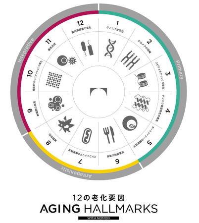 12の老化要因『AGING HALLMARKS』～人類の老化制御を目指し、 研究・開発・製品化の指標に～