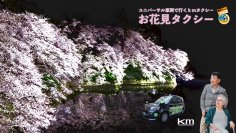 高齢者に優しい「お花見タクシー2024」が登場！東京都内の桜名所をユニバーサル車両で巡る
