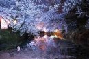 蜷川実花　2023年 (c)mika ninagawa, Courtesy of Tomio Koyama Gallery