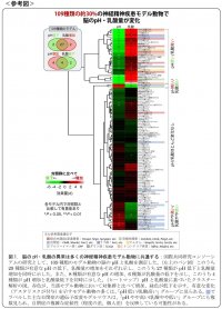 脳が酸性に傾く精神・神経疾患モデル動物を多数発見