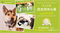犬や猫のために動物福祉の向上を目指す活動団体を募集！
2024年度認定団体 募集開始のご案内