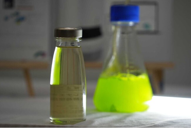 清酒の製造プロセスにユーグレナ粉末を添加して、グリーン日本酒を製造！ 日本農芸化学会の2024年度大会(東京大会）の「農芸化学を体感する」にて報告
