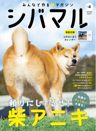 人気の柴犬きょうだい大集合！ 犬種や性格は違っても、仲良く暮らす姿にほっこりする柴犬専門マガジン『シバマル』Vol.4が3月29日発売