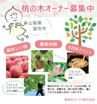桃の木のオーナーになりませんか？農業体験やイベントを通して山梨の四季を満喫できる「桃の木オーナー制度」を始めました！（オーナー申込締切：4月30日）