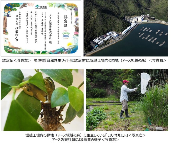 アース製薬坂越工場（アース坂越の森）が環境省の『自然共生サイト』に認定　「モリアオガエル」などの希少種を含む生物多様性の保全に向けた取組を開始