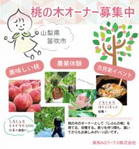 桃の木のオーナーになりませんか？農業体験やイベントを通して山梨の四季を満喫できる「桃の木オーナー制度」を始めました！（オーナー申込締切：4月30日）