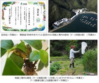 アース製薬坂越工場（アース坂越の森）が環境省の『自然共生サイト』に認定　「モリアオガエル」などの希少種を含む生物多様性の保全に向けた取組を開始