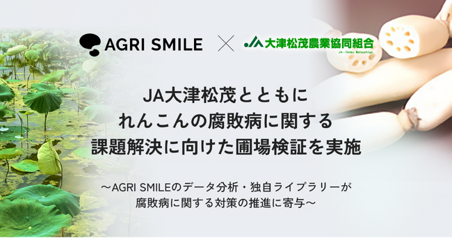 AGRI SMILEとJA大津松茂、れんこんの腐敗病に関する課題解決に向けた圃場検証を実施