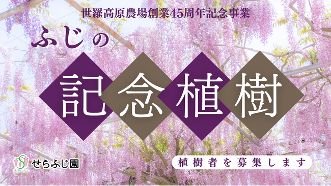 【広島／世羅】ふじの記念植樹　植樹者1組募集《せらふじ園》