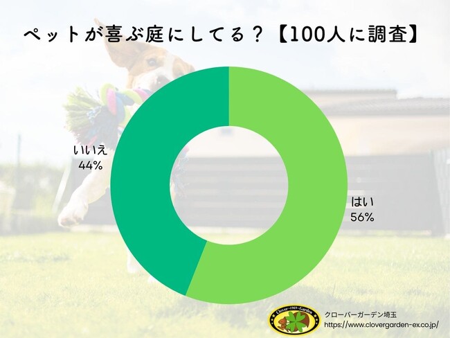 【調査レポート】ペットが安心して遊べる庭、実践者の工夫を一挙大公開！【2024年最新】