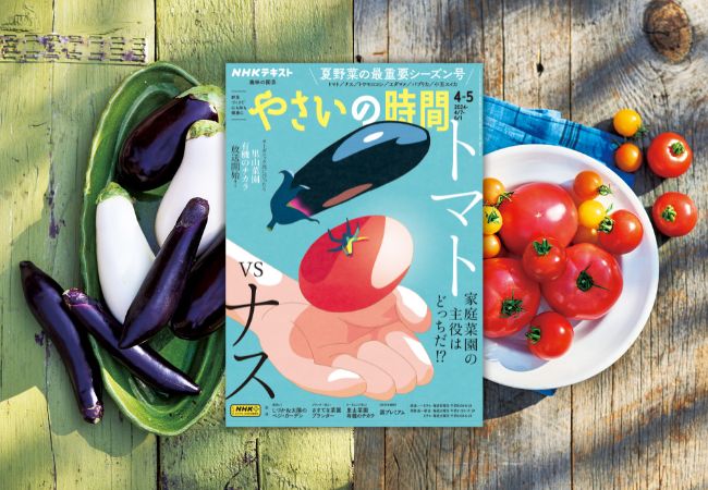 『趣味の園芸 やさいの時間』がプチリニューアル！ 夏野菜の再重要シーズン号好評発売中！
