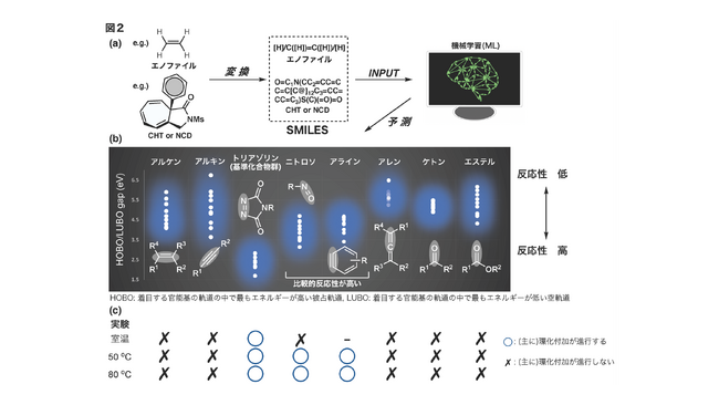 独自開発の計算科学ー情報科学ー実験科学の融合手法で新たな環化付加型反応を開発!