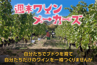 地域資源であるワインを活用し、関係人口の創出を目指す　～長野・塩尻市で『週末ワインメーカーズ』参加者を募集～