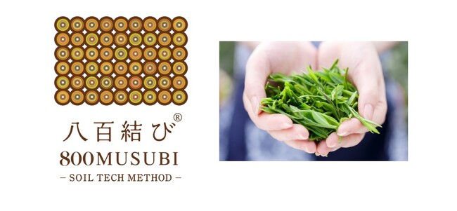 日本茶の最高峰「玉露」を有機栽培でさらなる高みへ挑戦！　土のマーケティング会社 壌結合同会社と栽培・製茶のプロフェッショナル Oosumi Orgnic Tea Companyが業務提携