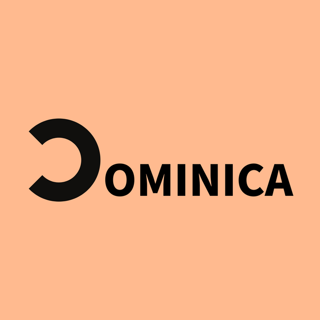 【COMINICA】お客様の想いを最大化するデジタルマーケティングサービスの新星
