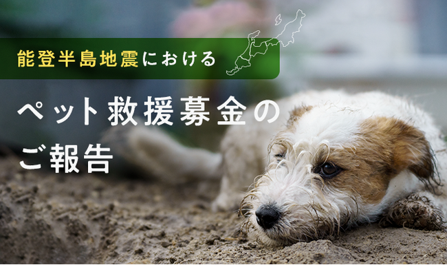 【能登半島地震におけるペット救援募金】皆さまからのご支援 約2,500万円を寄付