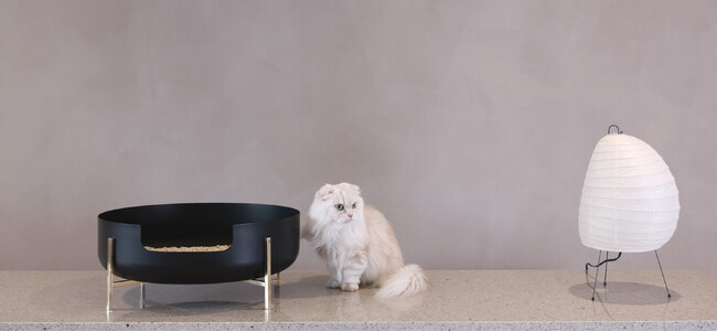 伊勢丹で好評を博した愛猫のための美しすぎるプロダクト、Katteの猫トイレ「La Toilette（トワレ）」が5月の発売前に第13回「インターペット」に出展