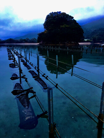 牡蠣のスマート養殖事業を展開する株式会社リブル（所在地：徳島県海陽町、代表：早川 尚吾／岩本 健輔）は、令和6年度スマート水産業実装自治体を募集しております。