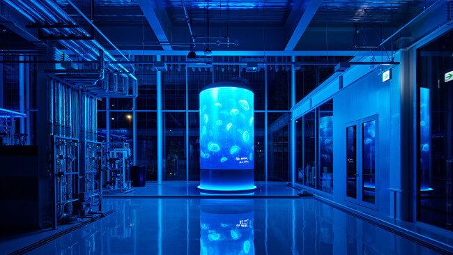stuが世界三大デザイン賞「iF DESIGN AWARD 2024」を受賞。地域と企業をつなぐコミュニケーションツールを開発
