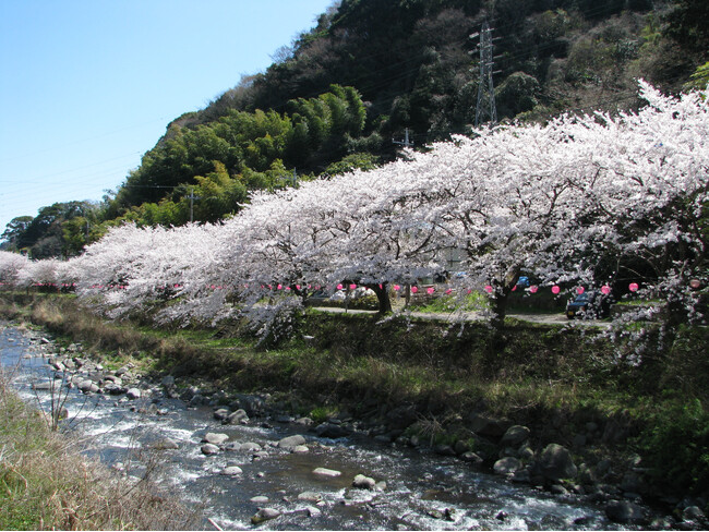 【湯河原千代田荘・山翠楼・海石榴】湯河原3館のGWおすすめの宿泊プランのご紹介