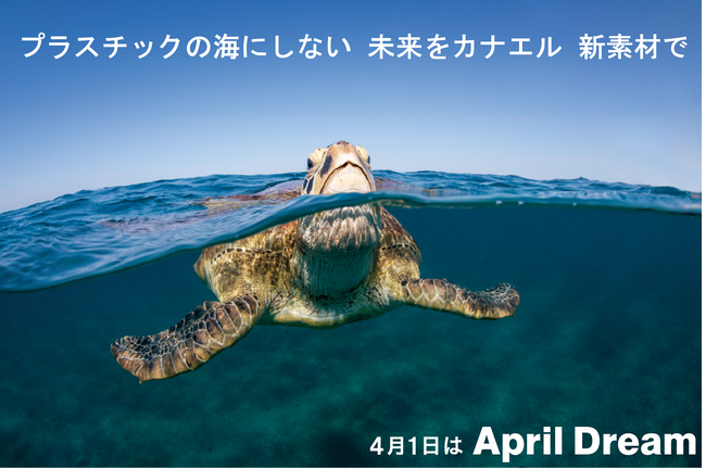 「綺麗な海を守りたい」海水中でも生分解する新素材でプラスチックごみを無くします