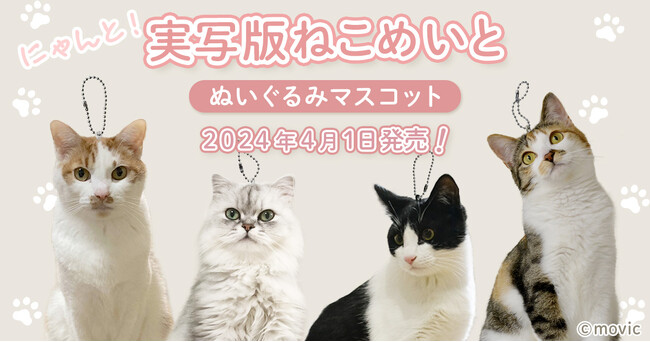 実写版ねこめいとが“架空”商品化決定！