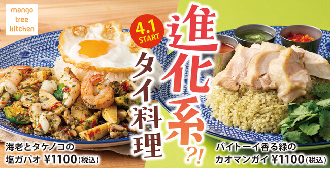 見た目も味わいも進化系！マンゴツリーキッチンの「塩ガパオ」と「緑のカオマンガイ」