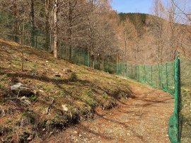 里山ドッグラン1 里山ドッグラン1