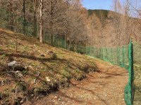 東海地方初！岐阜県の郡上八幡に“無料”里山型ドッグラン「自然苑」を5月1日オープン