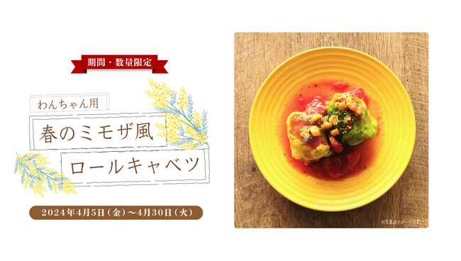 ふんわりジューシー愛犬用手作りフード！「春のミモザ風ロールキャベツ」期間限定発売！