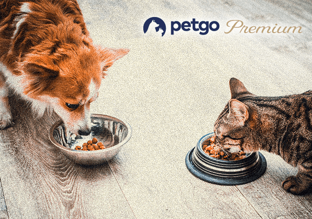 「ペットゴープレミアム（petgo Premium）」サイト開設のお知らせ