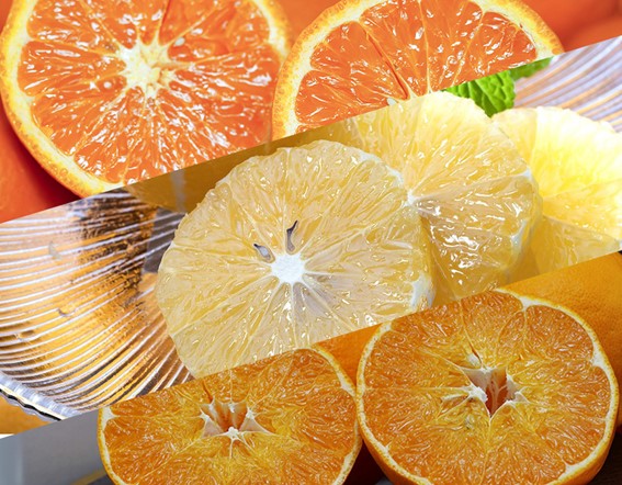 にじゅうまる・農６・レモネード「凄い柑橘３種」を豊洲市場ドットコムでお取り寄せ！この春、ぜひ試して欲しいフルーツです