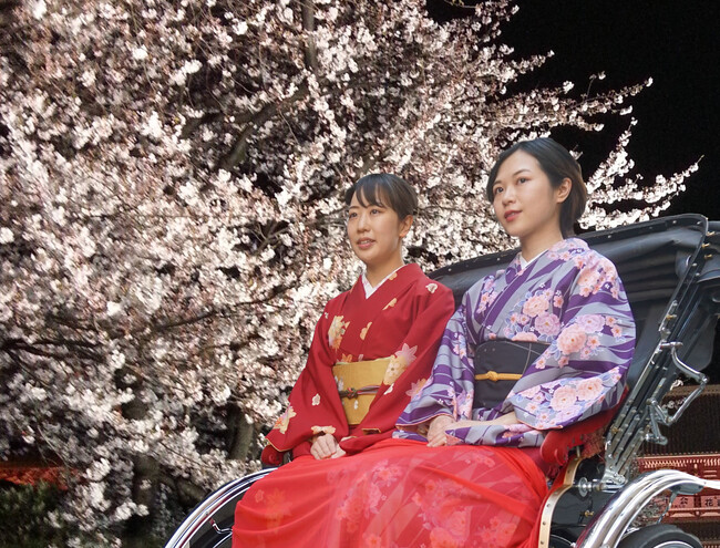 「浅草 夜桜 人力車お花見プラン supported by アサヒビール」の実施日変更