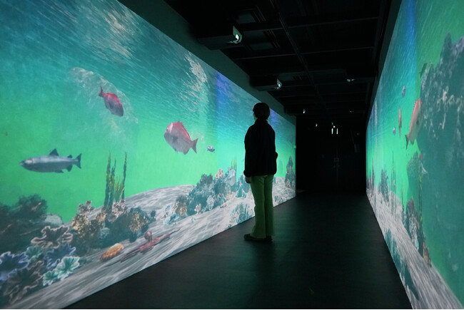 デジタルアート制作会社【C&｜シーエンド】新作没入型コンテンツ「淡路島の海中散歩」を兵庫県南あわじ市にて公開！