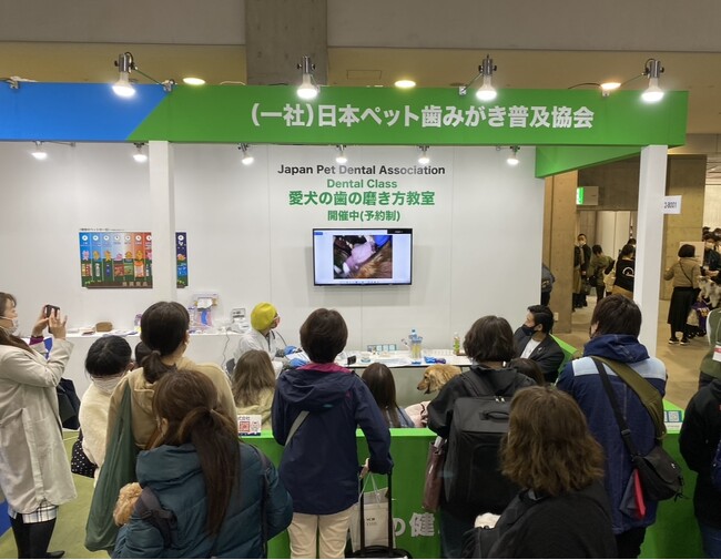 インターペットで、獣医師、ドッグトレーナー、歯科衛生士による愛犬参加型の歯磨き教室を毎日開催。愛犬の3歳の子の約80％が歯周病予備軍の中、コロナ禍でしつけが出来ず歯磨きが出来ない飼い主様を応援します
