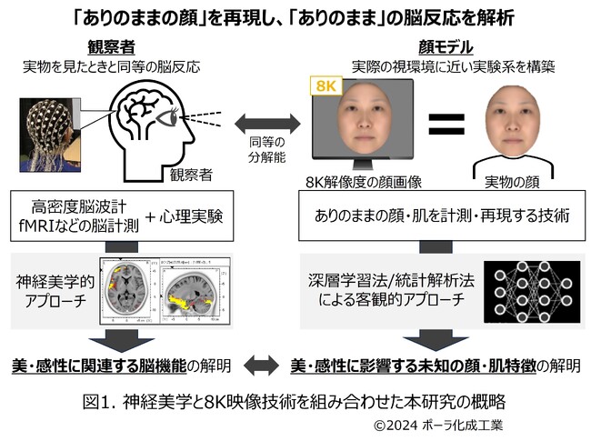 神経美学研究×8K映像技術で魅力認知の解明に挑戦