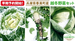 雪の中で熟成され、甘さやみずみずしさが格別！2024年12月発送予定の「雪国の越冬野菜セット」を、3月29日より予約販売開始