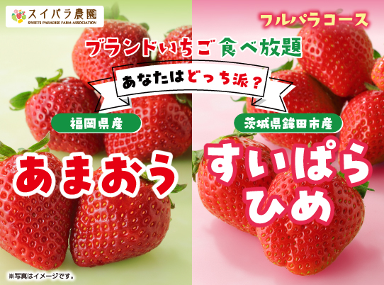 【スイパラでいちご食べ比べ】「あまおう」と「すいぱらひめ」あなたはどっち派？4/10からの「国産ブランドいちご食べ放題」では人気品種の食べ比べを開催！
