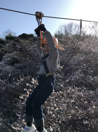 桜満開の京都！ジップラインで【空中花見】