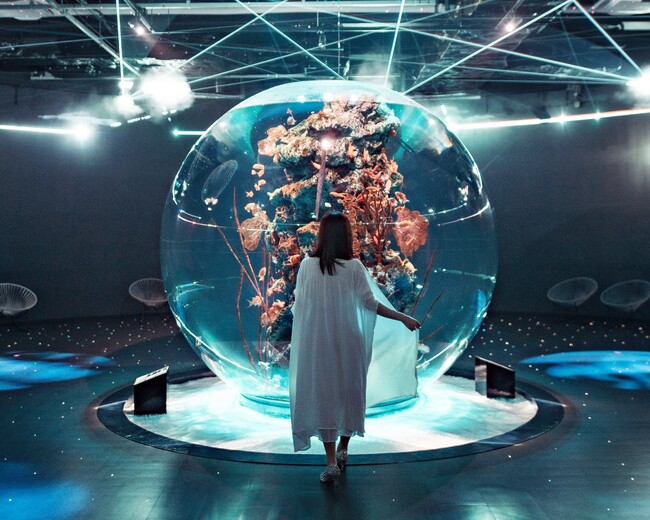 ゴールデンウィーク期間はいつもより1時間早くOPEN！【神戸の水族館｜アトア】