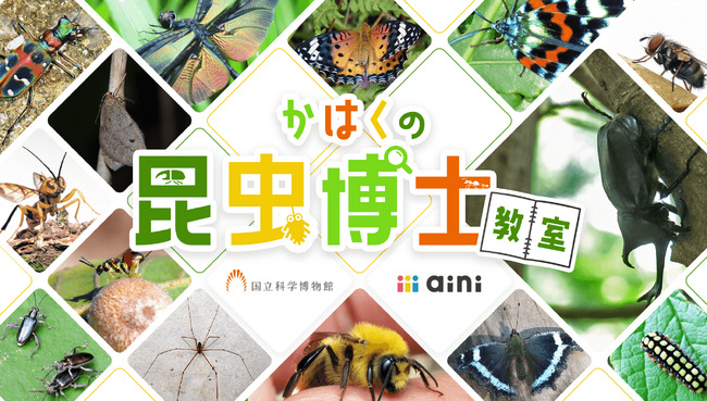 【国立科学博物館】内容を一新！こども向けオンライン授業「かはくの昆虫博士教室」第3期開講＜2024年4月～2025年2月　全11回＞