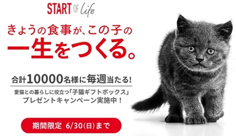 ロイヤルカナン ジャポン「Start of Life キャンペーン」を開催