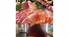 漁港直送鮮魚の刺身10種（惣菜・揚げ物も）食べ放題＆日本酒飲み放題！生本マグロ刺食べ放題も追加可能