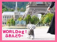 栃木・東武ワールドスクウェアでわんちゃんとリード入園できる「WORLDog！ふれんどりー」が4月1日スタート！