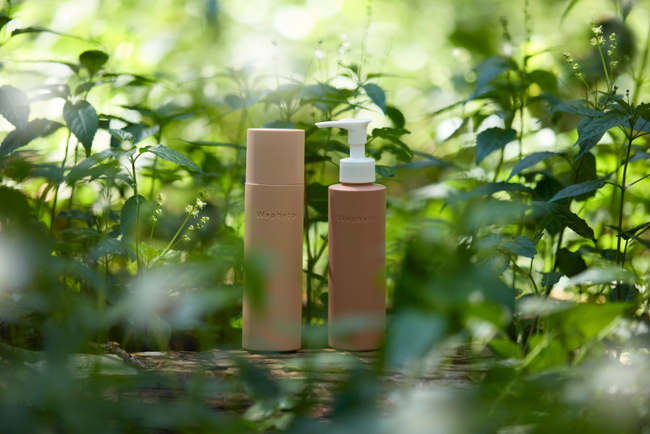 植物由来のバイオレチノール*を新配合したスキンケア誕生。ハリが目覚め、もっと弾む肌へ。エイジングケア**化粧水とクレンジングが新発売 - Waphyto（ワフィト）