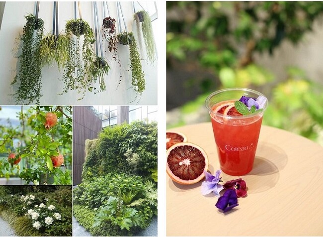 『チャコット代官山本店』春の日差しが心地良い4月は「Chacott Garden」を展開！