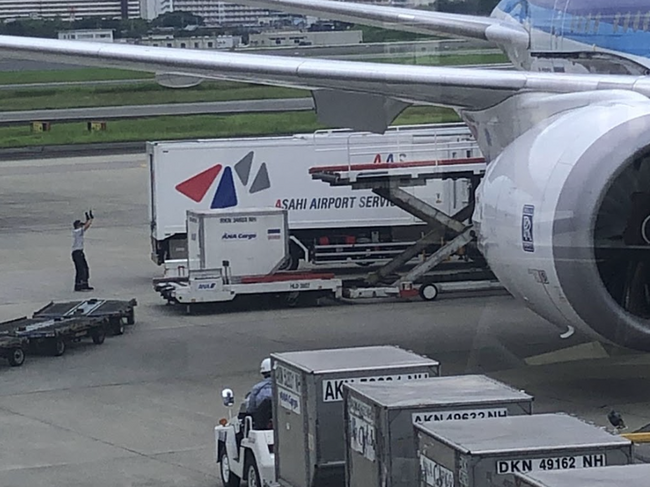 ANAとナッシュ、冷凍食品の航空輸送ネットワークを沖縄県へ拡大