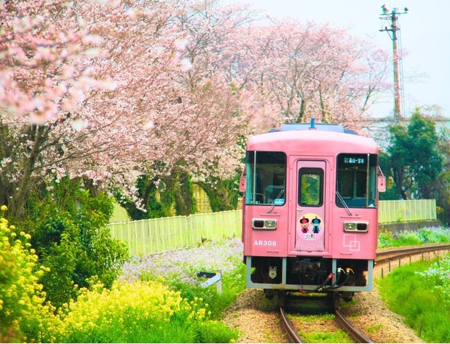 【福岡県小郡市】映え列車 